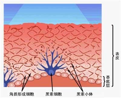 白癜风患者应杜绝坏习惯?